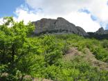 2009_tigrenokvkrymu_1120