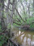 2012-04-21_15-39-349